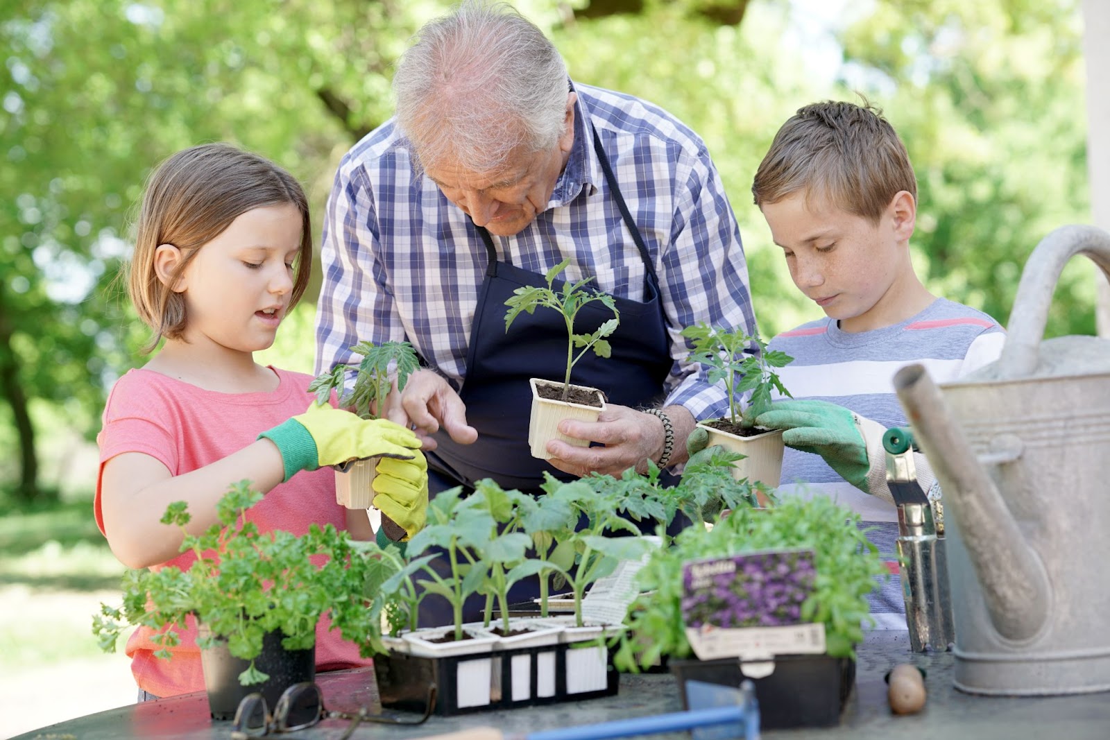 Děti pomáhají dědovi se zahradničením